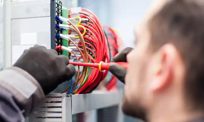 electrician Gibbon